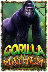 Gorilla Mayhem - Online Pokie